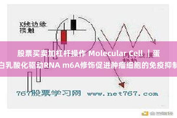 股票买卖加杠杆操作 Molecular Cell ｜蛋白乳酸化驱动RNA m6A修饰促进肿瘤细胞的免疫抑制