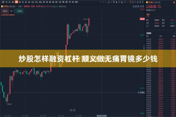 炒股怎样融资杠杆 顺义做无痛胃镜多少钱