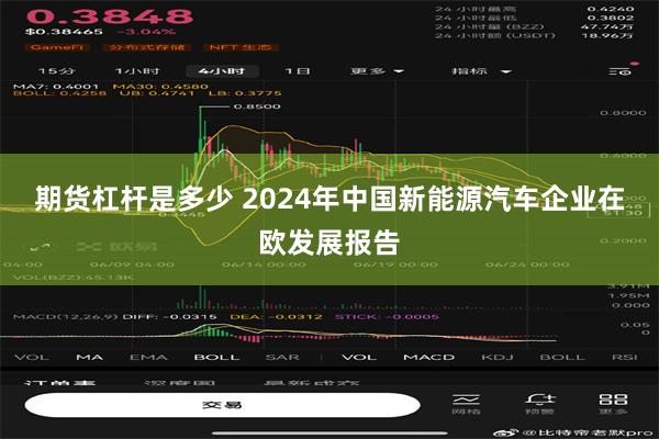 期货杠杆是多少 2024年中国新能源汽车企业在欧发展报告