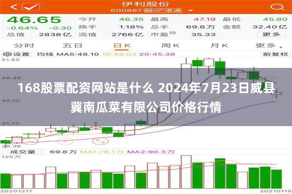 168股票配资网站是什么 2024年7月23日威县冀南瓜菜有限公司价格行情