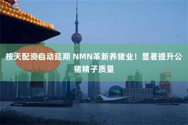 按天配资自动延期 NMN革新养猪业！显著提升公猪精子质量