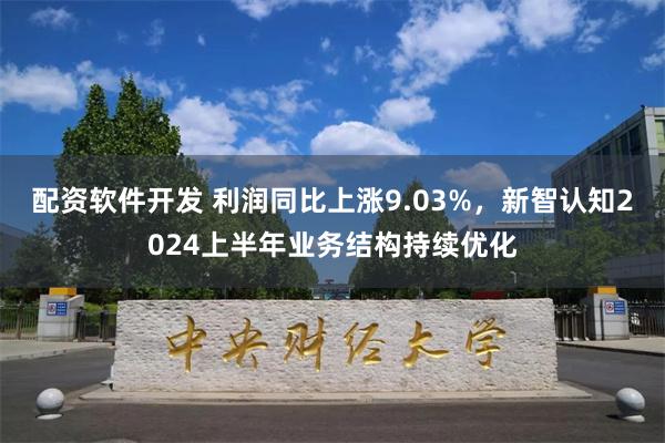 配资软件开发 利润同比上涨9.03%，新智认知2024上半年业务结构持续优化