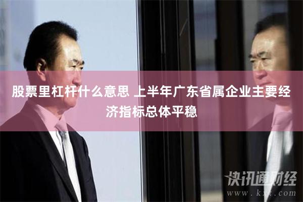 股票里杠杆什么意思 上半年广东省属企业主要经济指标总体平稳