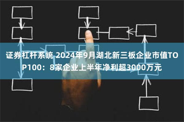 证券杠杆系统 2024年9月湖北新三板企业市值TOP100：8家企业上半年净利超3000万元