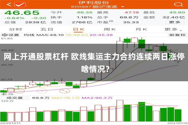 网上开通股票杠杆 欧线集运主力合约连续两日涨停 啥情况？