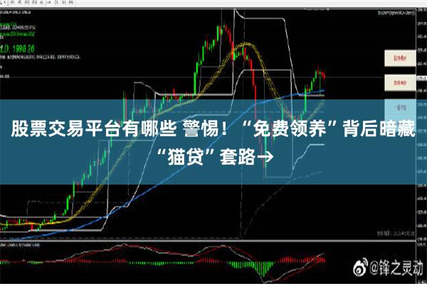 股票交易平台有哪些 警惕！“免费领养”背后暗藏“猫贷”套路→