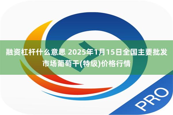 融资杠杆什么意思 2025年1月15日全国主要批发市场葡萄干(特级)价格行情