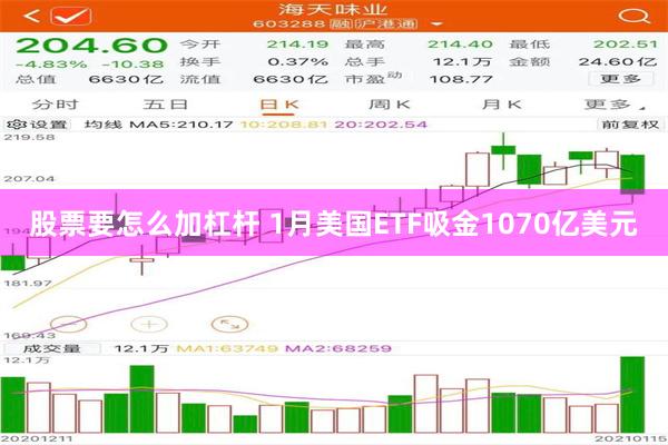 股票要怎么加杠杆 1月美国ETF吸金1070亿美元